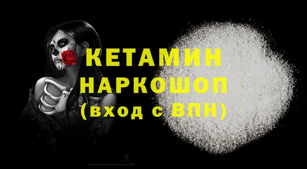 крисы Мегион