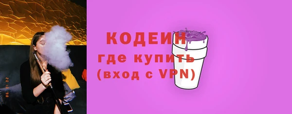 крисы Мегион