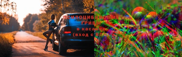 мефедрон Медвежьегорск