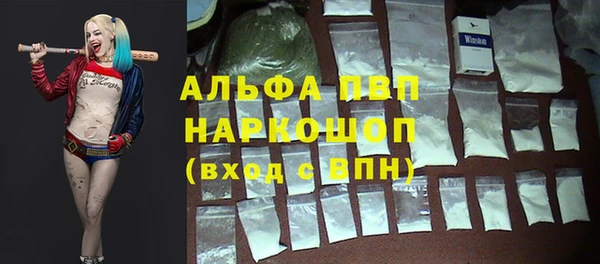 крисы Мегион