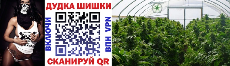 Марихуана семена  Купить где  Малгобек 